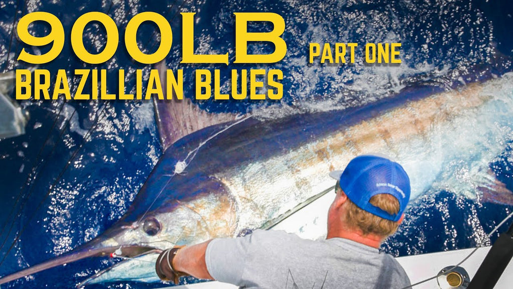 Brazilian Blue Marlins with Bad Company - Part One
